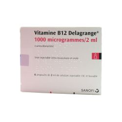 Vit B12 1000 Delagr Im+Buv 2Ml 6