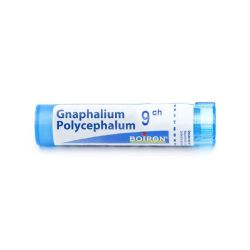 Boiron Tube Granules homéopathiques Gnaphalium Polycephalum 9 CH