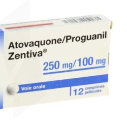 Biogaran Atovaquone/Proguanil 250/100 Mg 12 comprimés