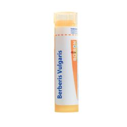 Boiron Berberis Vulgaris Tube 15 Ch (1 g)