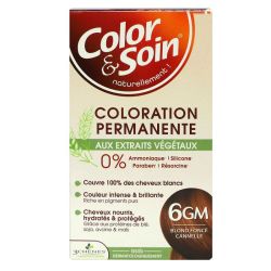 COLOR & SOIN Coloration Permanente 6GM Blond Foncé Cannelle