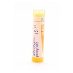 Boiron Dermatophagoides Pteronyssinus 15 ch / Tube de granules (4 g)