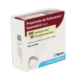 Biogaran Propionate De Fluticasone Salmétérol 250/50 (60 Doses)