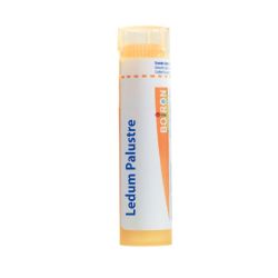 Boiron Ledum Palustre 15 Ch Globules Tube (1 g)