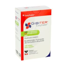 Gibiter Easy 160Μg/4,5Μg/Dose Pdr Inh 120Dose