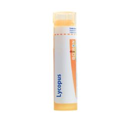 Boiron Lycopus Tube 15 Ch (1 g)