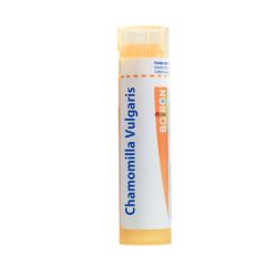 Boiron Chamomilla Vulgaris Tube 15 Ch