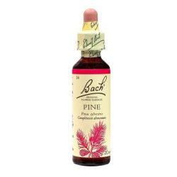 Fleurs De Bach Pine Elixir Floral De Pin Sylvestre