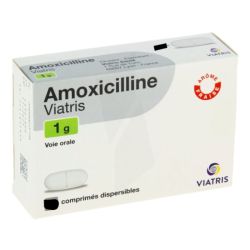 Amoxicilline 1G Viatris Cpr Disp 6