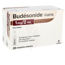 Budesonide Viatris 1Mg   Susp D20