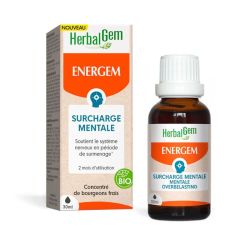 Herbalgem Energem Spray Bio Surcharge Mentale (30 ml)