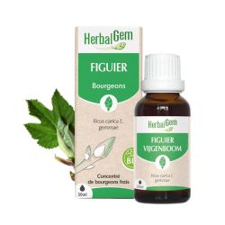 Herbalgem Macérat-Mère Figuier Bio 30Ml