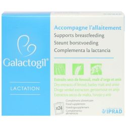 Galactogil Lactation Accompagne l'allaitement 24 sachets