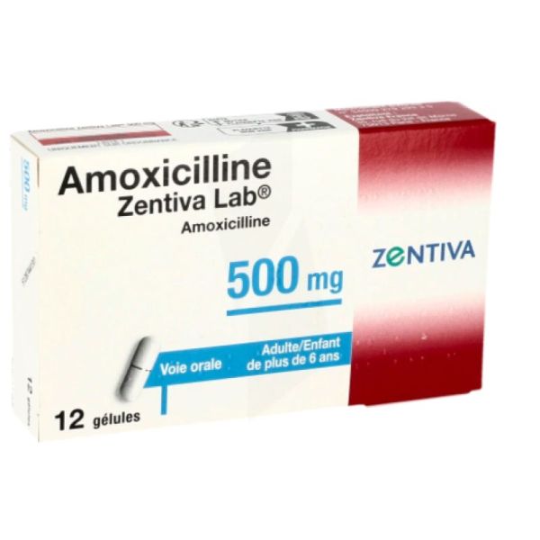 Amoxicilline 500Mg Ztv Gelule 12