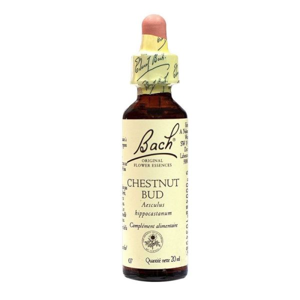 Fleurs De Bach Chestnutbud 20Ml