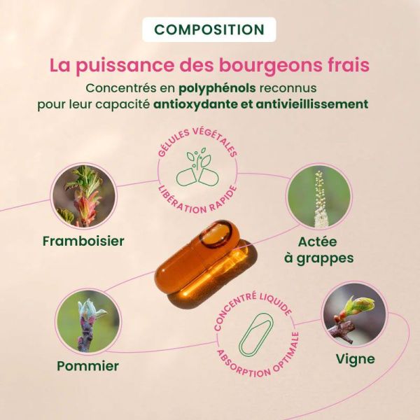 Gemmocaps Périménopause équilibre hormonal bouffées de chaleur (30 gélules)