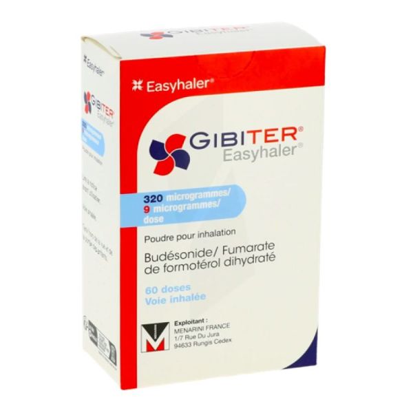 Gibiter Easy 320 Μg/9 Μg/Dose P Inh Inh/60Dos