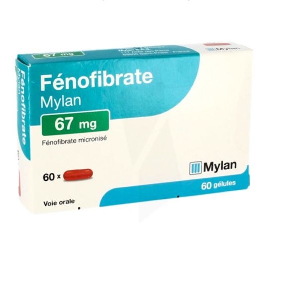 Fenofibrate 67Mg Viatris Gelule 60