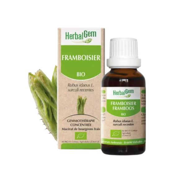 Herbalgem Macérat-Mère Framboisier Bio 30Ml