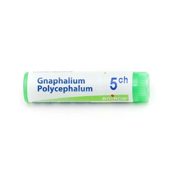 Boiron Granules homéopathiques Gnaphalium Polycephalum 5 CH