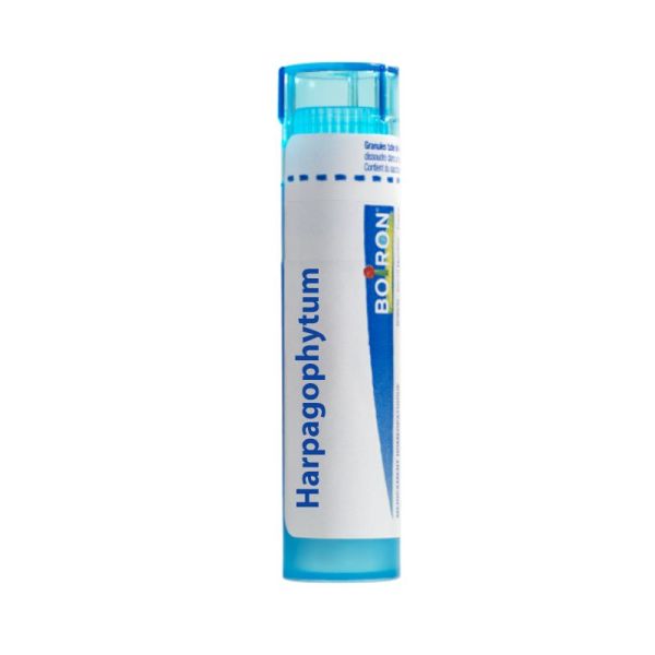 Boiron Harpagophytum Tube 9 Ch