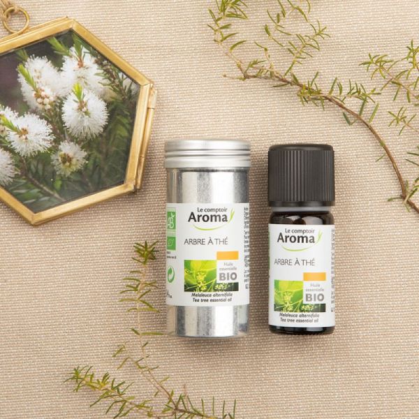 Le Comptoir Aroma Huile Essentielle Arbre à Thé